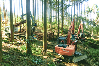 高性能林業機械利用により低コスト林業を達成すべく日頃より研究を重ねています。