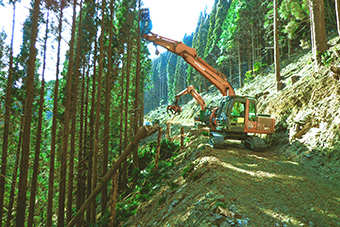 皆伐のみならず利用間伐にも高性能林業機械を利用することで精算額も大幅に向上します。
