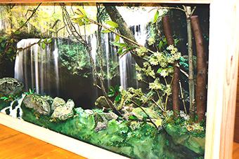 『宮崎・耳川の杉』を使用して作成されたジオラマ。諸塚産直
住宅モデルハウスに展示中です。